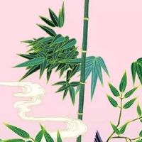 2022年7月14日出生的女孩子生辰八字性格详解 事业有成 婚姻幸福