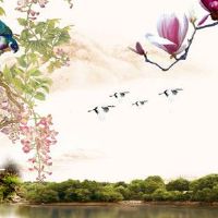 子女宫流年化忌有年喜 化禄或化忌于子女宫