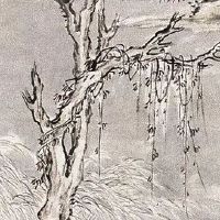 1974年属虎三大劫数 劫难来临应对自如