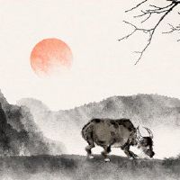 这是看不见的离婚。