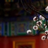 八字中正印是什么意思 正印是正相关的作用