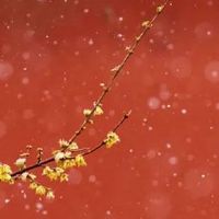 怎样看八字里有几个印 六亲为六印以上