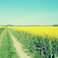 唐艳阳/唐立奇12星周末财富（4.24-4.25）