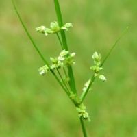2019年，雨是几天。