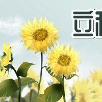 天坑在2022年在丽霞的位置喝什么位置