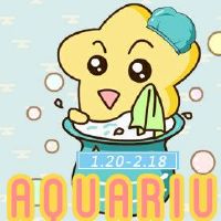 猪的水瓶是2022年的财富。感觉的感觉。