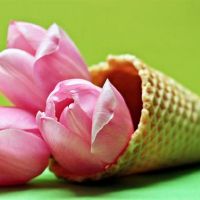 邑邑师姐运运运运（4.25-5.1）