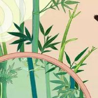 2022年7月13日出生的男孩八字命理分析 有贵人帮 晚年优渥