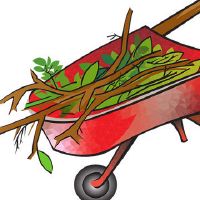 独轮车的迹象是什么？