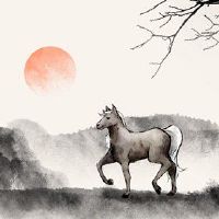 2023年，Zodiama人民，人民，过境资金的现象