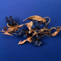 唐艳阳：12个星座最近的财富提醒