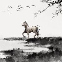 2022年7月属马人学业运势如何 马到功成一马当先