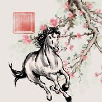 这匹马适合戴黄金吗？