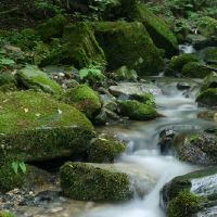 女婴的名字是最后一次适合的。