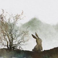 老鼠和兔子婚姻匹配？什么样的黄道带是好的？