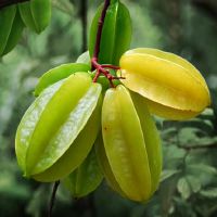 最多的四个星座，将理解女人的保护，人们令人羡慕