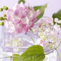 哪个星座最愉快，现在生活，将试图让自己快乐