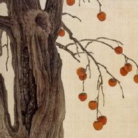 98年属虎本命年运势 找财富方位让青年虎旺财