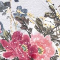 6种鼻型女人好命蒜头鼻 处事耐心工作能干