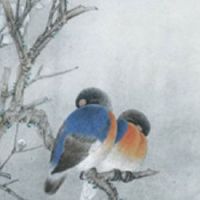 耳朵大的人就代表命好吗 有福气且寿命长的耳相