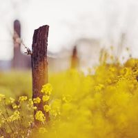 Pandora隋兴小女巫本周的好星座（4.24-4.30）