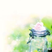 杀死狼十二个星座（4.25-5.1）