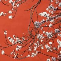 属虎女人戴金首饰好吗 金饰品助运势佳