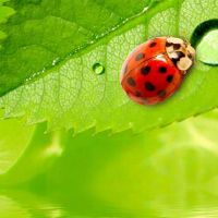 ezoey xu ping十二星座一周（4.25-5.1）