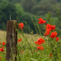 走不少绕道，三个星座有点失败，谁在那里？