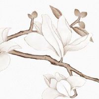 十二生肖运势小报:2022年9月30日特吉生肖查询