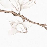 特吉生肖运势解读:2022年9月29日十二生肖幸运指数