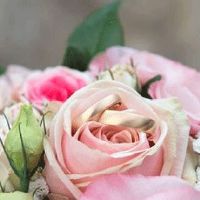 结婚贺礼送什么比较好 一对比翼鸟杯子祝愿一辈子