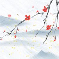 客厅茶几上摆放什么摆件好 君子兰等吉祥招财物件