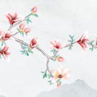 尾数717的车牌号好吗 财富广泛的车牌号码