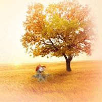 这三个大明星，美丽而有趣，最细心，很简单，这是一只狐狸