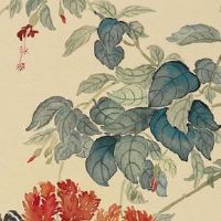 紫微斗数看流年贪狼 贪狼星化气曰桃花