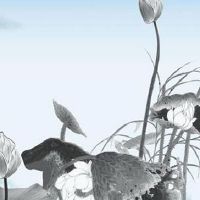 哪天出生的女人地位高 最佳吉日有财有运