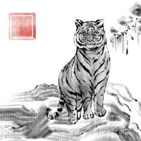 2022年属虎的人有桃花运吗 需把握时机抓住机会