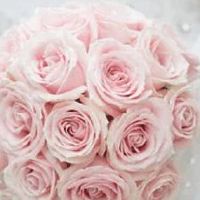 女方结婚压箱里面要放什么 结婚喜话大全