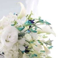 女方的压箱钱谁出 结婚女方压箱钱要给多少