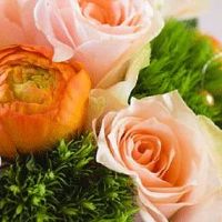 结婚添香什么规矩 添香译为添箱之意