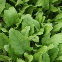 看似简单，但是最难处理的第三个星座