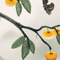 2022年夏至及三伏日期 夏至入头伏的日子