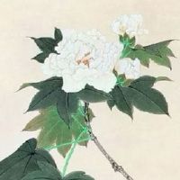 属牛和属虎的婚姻合适吗 互补关系生活和美