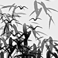 服装店怎么取名字好听 精选服装店起名