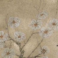 九种最富贵耳朵图片 财运亨通发家致富