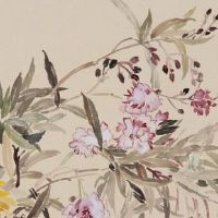 2022年夏至出生的女孩名字 好听到爆的名字精选