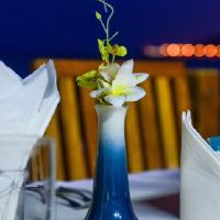 2019年人类异性的美好月份简介