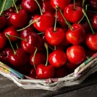 顽固的星座，只要您决定做一件事，您就不会轻易改变