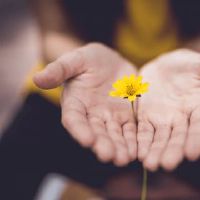 如何通过棕榈线看健康？有什么特征？